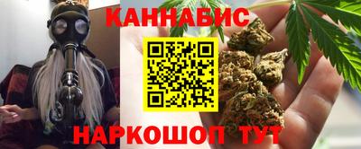 гашик Берёзовский