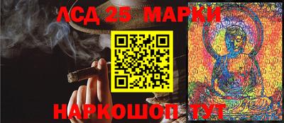гашик Берёзовский
