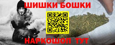тгк Бийск