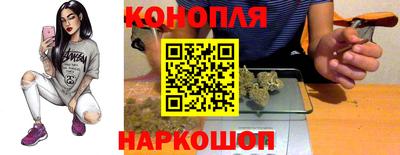 тгк Бийск