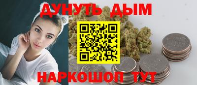 тгк Бийск