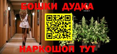 тгк Бийск