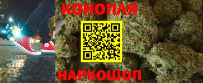 тгк Бийск