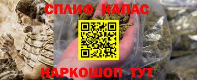 гашик Берёзовский