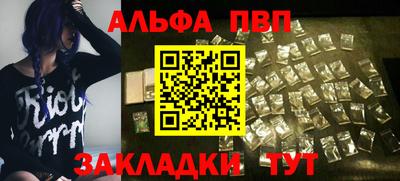 тгк Бийск
