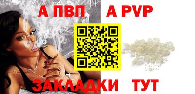 тгк Бийск