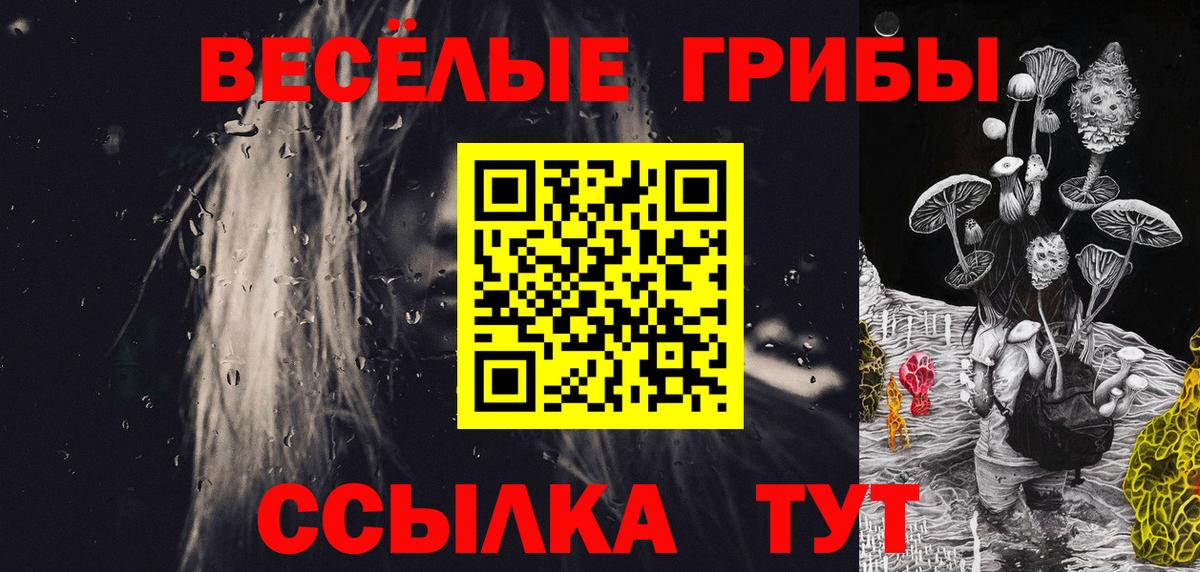 Кинель  Галлюциногенные грибы Psilocybe  Вход с VPN 